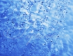 Water 27