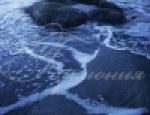 Water 41