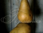 Food and Drink 18