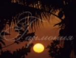 Sunset 18