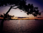 Sunset 5